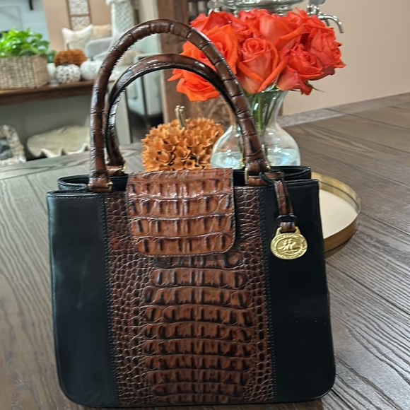 BRAHMIN - Picture 2 of 4